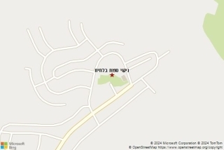 ניקוי ספה בלוזית - ניקוי ספות בלוזית