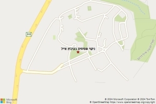 ניקוי שטיחים בקיבוץ אייל