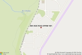 ניקוי שטיח בקיבוץ מבוא חמה - ניקוי שטיחים בקיבוץ מבוא חמה