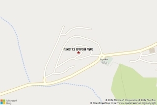ניקוי שטיח ברומאנה - ניקוי שטיחים ברומאנה