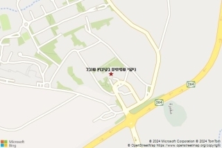 ניקוי שטיח בקיבוץ שובל - ניקוי שטיחים בקיבוץ שובל