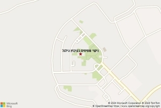 ניקוי שטיחים בקיבוץ גילגל