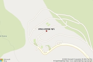 ניקוי שטיח בנופים - ניקוי שטיחים בנופים