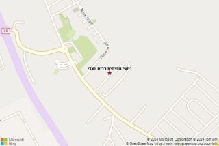 ניקוי שטיחים בבית הגדי