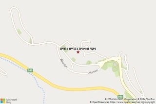 ניקוי שטיח בקריית נטפים - ניקוי שטיחים בקריית נטפים