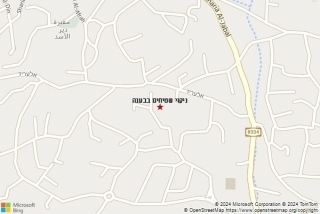 ניקוי שטיחים בבענה