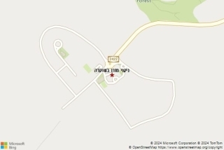 ניקוי מזרן בשוקדה - ניקוי מזרן בשוקדה