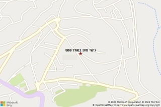 ניקוי מזרן במגדל שמס
