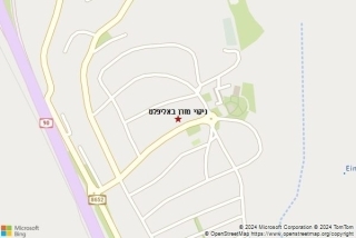ניקוי מזרן באליפלט