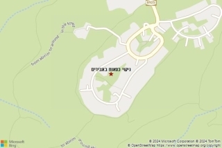 ניקוי כסאות באבירים