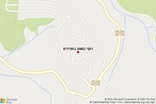 ניקוי כסא בצפרירים - ניקוי כסאות בצפרירים