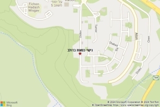 ניקוי כסאות בדולב