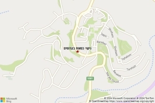 ניקוי כסאות בקדומים