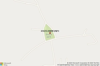 ניקיון חלונות בדבורה