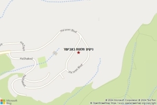 ניקוי חלון באביעזר - ניקיון חלונות באביעזר